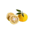 Jeruk yuzu